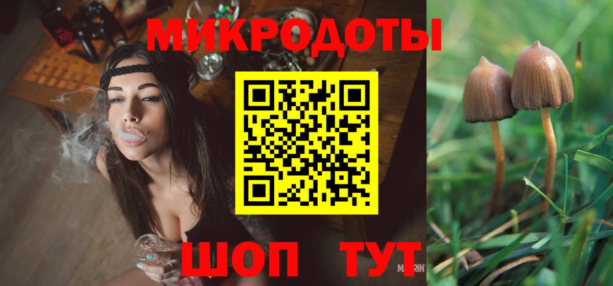 Псилоцибиновые грибы прущие грибы  Вход с VPN  купить закладку  Долгопрудный 